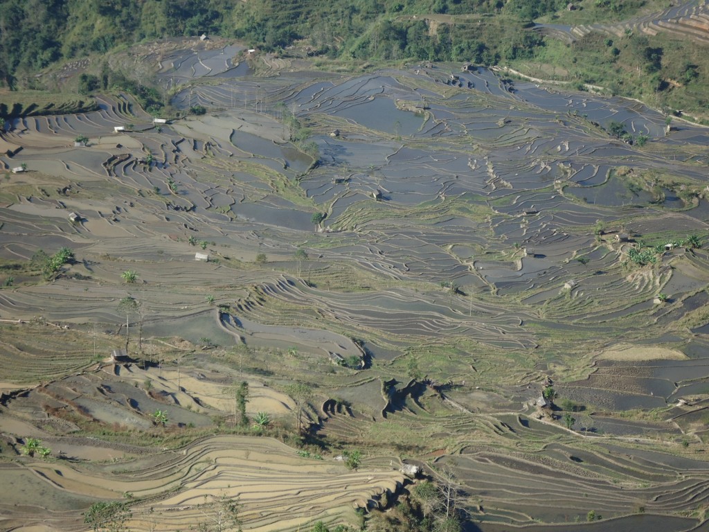 Zdjęcia: okolice Xinjie, Yunnan, Tarasy ryżowe Laohuzuji (2), CHINY Zdjęcia: okolice Xinjie, Yunnan, Tarasy ryżowe Laohuzuji (2), CHINY