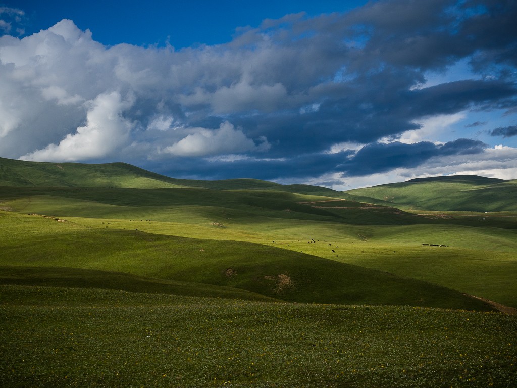 Zdjęcia: LItang, Syczuan, tybetański step, CHINY Zdjęcia: LItang, Syczuan, tybetański step, CHINY