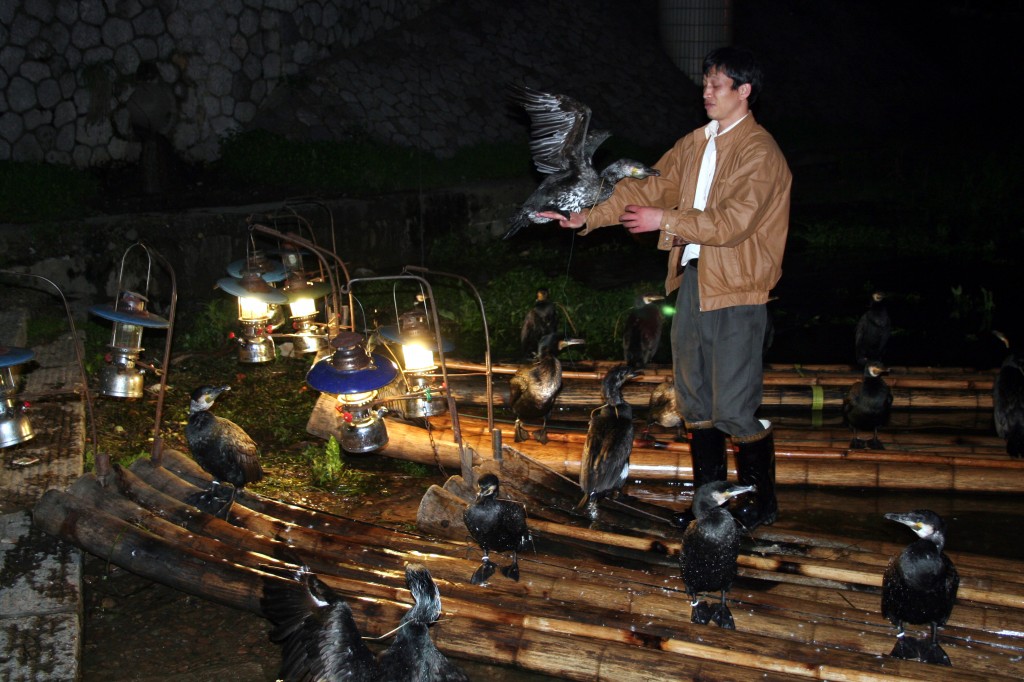 Zdjęcia: Guilin, Region Kuangsi, Nocny połów ryb z kormoranami, CHINY Zdjęcia: Guilin, Region Kuangsi, Nocny połów ryb z kormoranami, CHINY