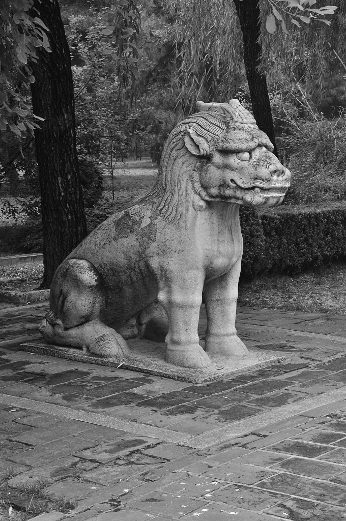Zdjęcia: Beijing, Beijing, Piesek Leszek, CHINY Zdjęcia: Beijing, Beijing, Piesek Leszek, CHINY