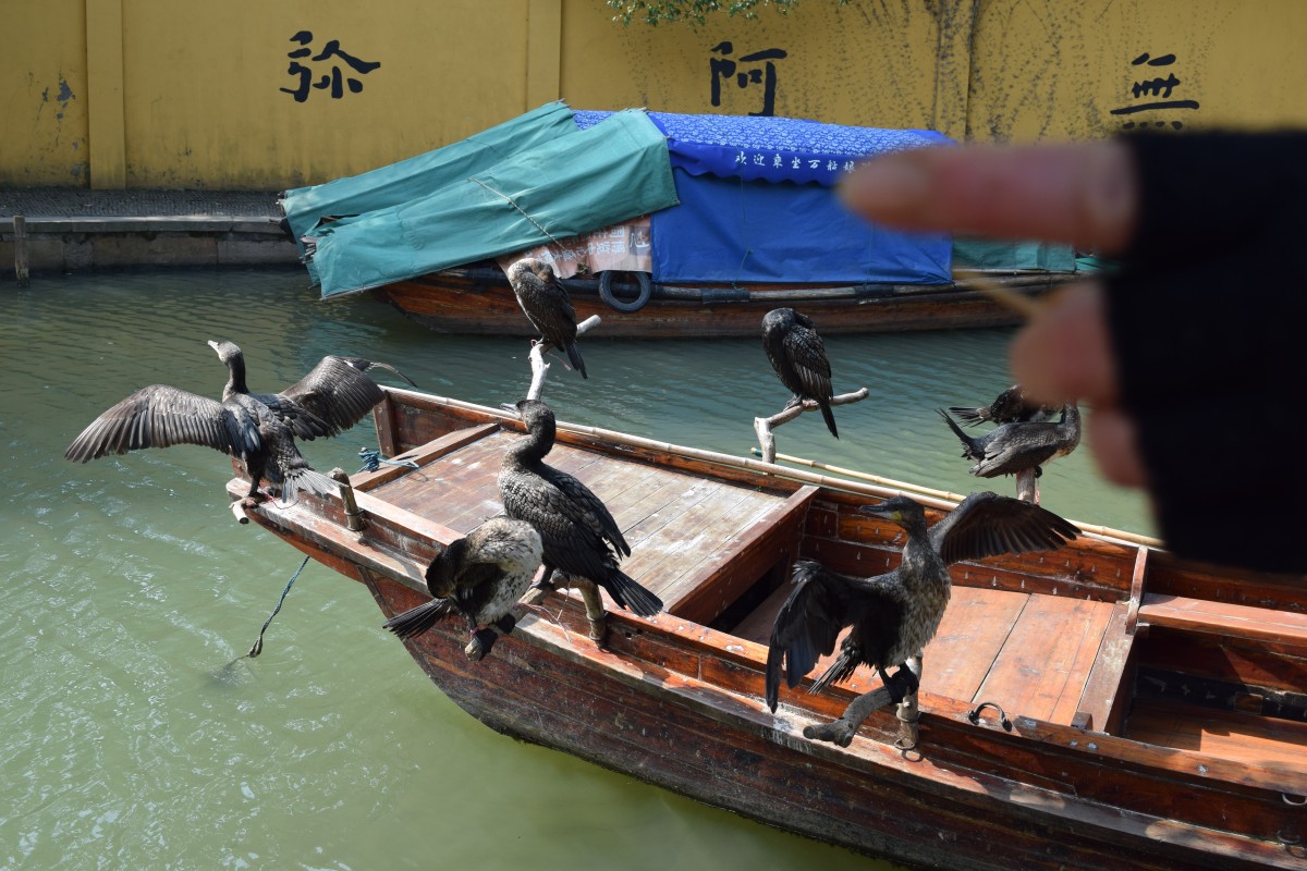 Zdjęcia: Zhouzhuang, Szanghaj, Z paluchem-focisz płać!!!, CHINY Zdjęcia: Zhouzhuang, Szanghaj, Z paluchem-focisz płać!!!, CHINY