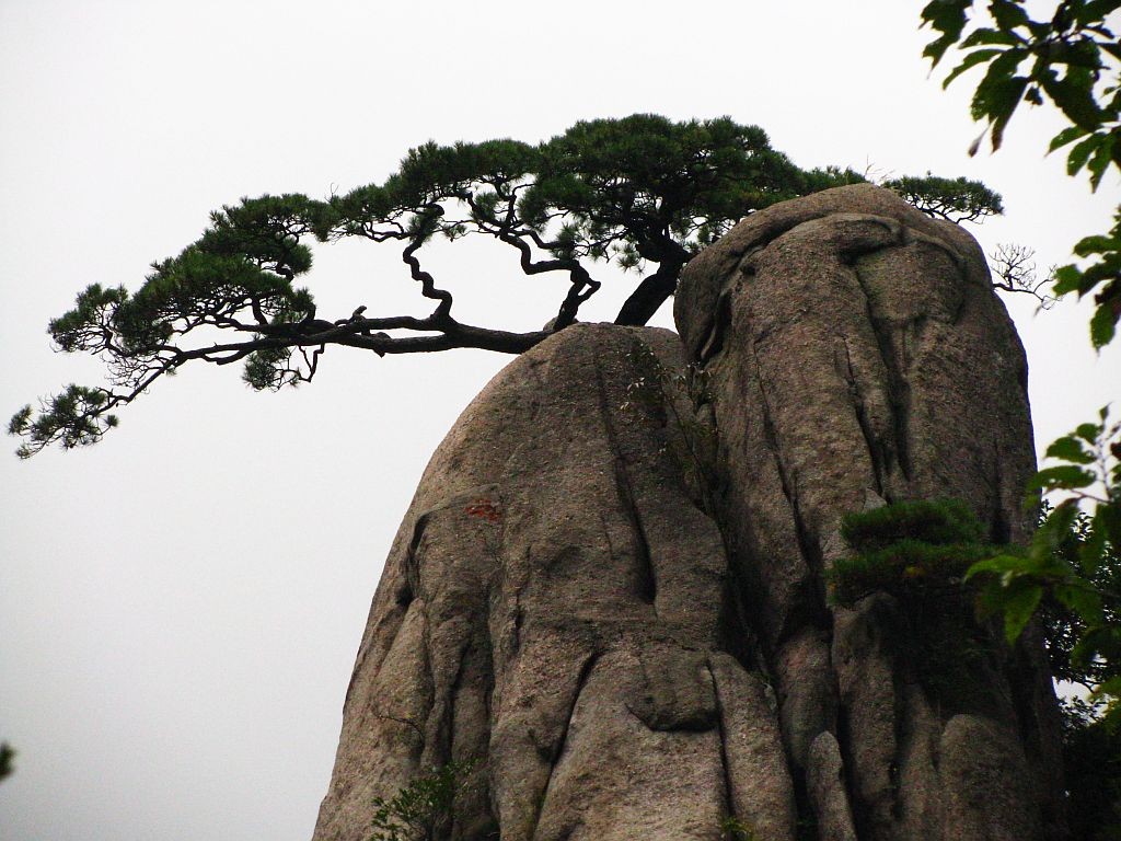 Zdjęcia: Huang Shan, prowincja Anhui, Góry Żółte, CHINY Zdjęcia: Huang Shan, prowincja Anhui, Góry Żółte, CHINY
