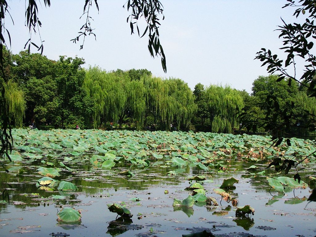Zdjęcia: Hangzhou, prowincja Zhejiang, Jezioro Zachodnie, CHINY Zdjęcia: Hangzhou, prowincja Zhejiang, Jezioro Zachodnie, CHINY