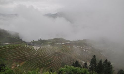 Zdjcie CHINY / Guilin / Longji / Terasy