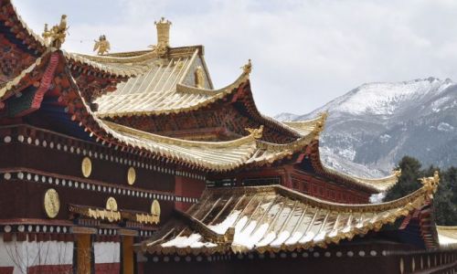 Zdjcie CHINY / Gansu / Langmusi / Zote dachy