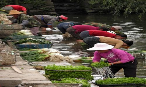 Zdjcie CHINY / Yunnan / Okolice Dali / Mycie warzyw