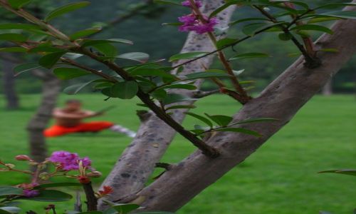 Zdjęcie CHINY / - / okolice Luoyang / Mnich w klasztorze Shaolin