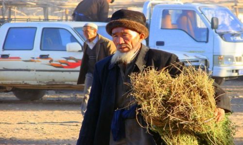 Zdjecie CHINY / Karzgar / Karzgar / Siano