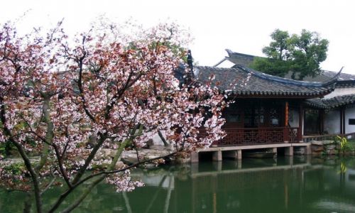 Zdjecie CHINY /   / Suzhou / Suzhou - w marcowym ogrodzie