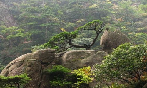 Zdjecie CHINY / prowincja Anhui / Huang Shan / Gry te