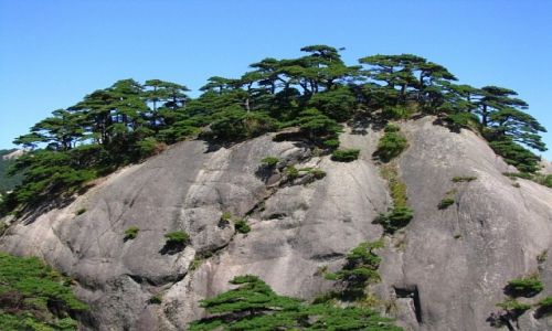 Zdjecie CHINY / prowincja Anhui / Huang Shan / Gry te