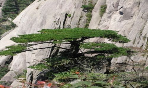 Zdjecie CHINY / prowincja Anhui / Huang Shan / Gry te