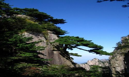 Zdjecie CHINY / prowincja Anhui / Huang Shan / Sosna Powitalna w socu