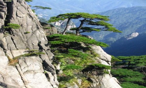 Zdjecie CHINY / prowincja Anhui / Huang Shan / Gry te