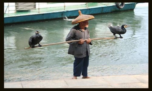 Zdjecie CHINY / brak / Yangshuo / pan na rybki ? nie ... na rybki ....