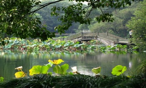 Zdjcie CHINY / prowincja Zhejiang / Hangzhou / Jezioro Zachodnie