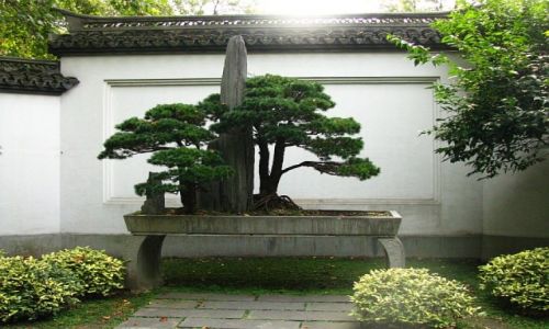 Zdjecie CHINY / prowincja Zhejiang / Hangzhou / witynia Yue Feia