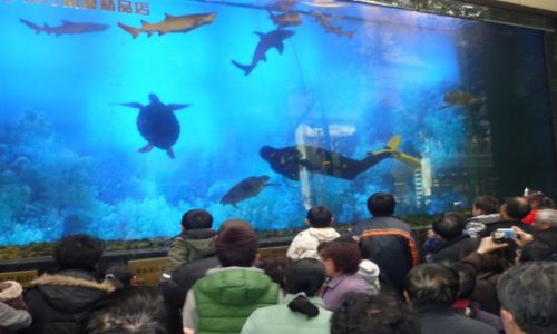 Zdjęcie CHINY / płd wsch China / Nanging Road / Ja i Chiny