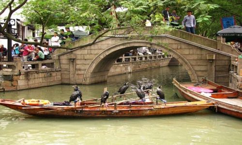 Zdjcie CHINY / prowincja Jiangsu / Tongli / Tongli - miasto na wodzie