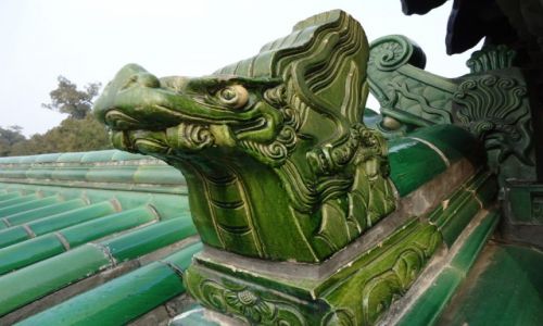 Zdjecie CHINY / Pekin / witynia Nieba / Zielony smok