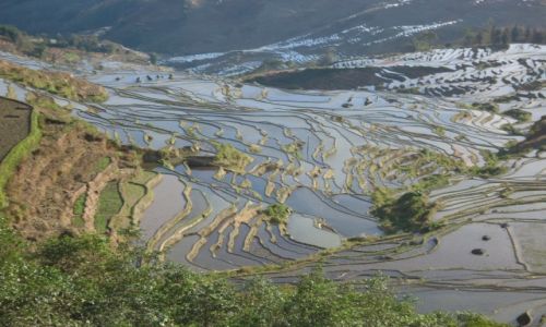 Zdjecie CHINY / Yunnan / okolice Xinjie / Tarasy ryowe Duoyishu (2)