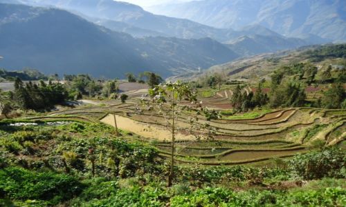 Zdjecie CHINY / Yunnan / okolice Xinjie / Poletka ryowe w okolicach Xinjie