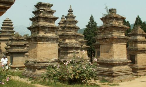 Zdjcie CHINY / Luoyang / Obszar Klasztoru Shaolin / Las pagd 