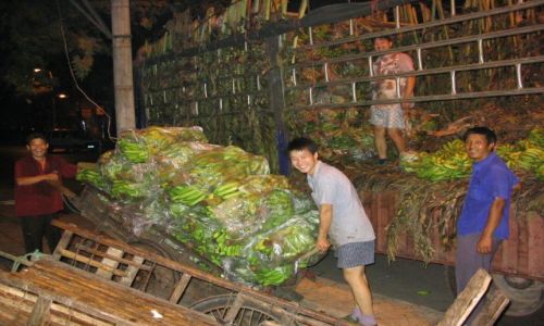 Zdjęcie CHINY / brak / Jingdezhen / Banany