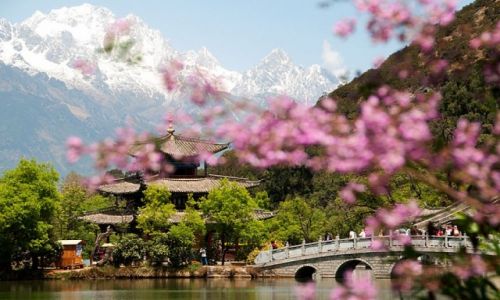 Zdjcie CHINY / Yunnan / Lijiang / Park Stawu Czarnego Smoka
