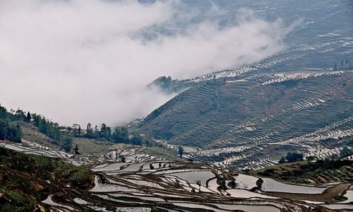 Zdjcie CHINY / Yunnan / Yuanyang / mga
