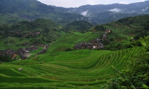 Zdjecie CHINY / Guangxi / Longji / terasy Longji