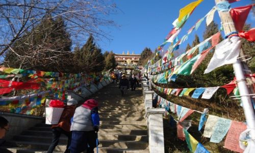 Zdjecie CHINY / Yunnan / Shangri La (Zhongdian) / Shangri La przed poarem (8)