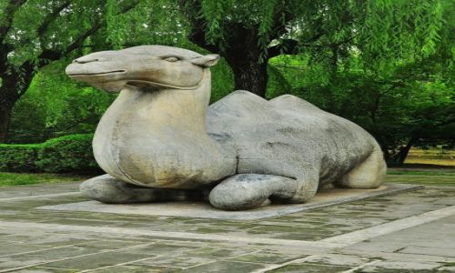 Zdjecie CHINY / Pekin / prawie w Pekinie / Wielbd