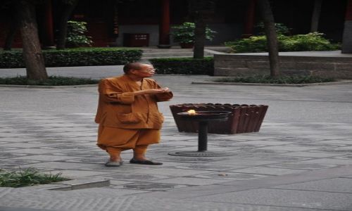 Zdjcie CHINY / Luoyang / Luoyang / Orzeszek...