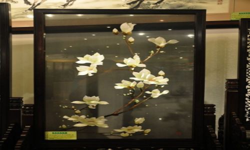 Zdjcie CHINY / Chiny / Zapomniaem / Stalowe magnolie