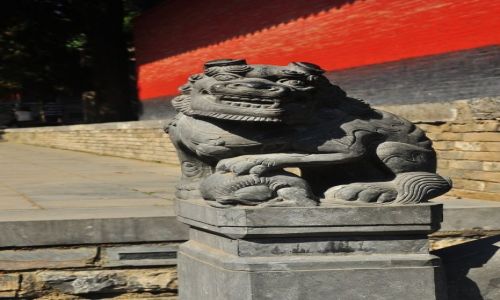 Zdjcie CHINY / prowincja Henan / klasztor Shaolin / Piesek Leszek