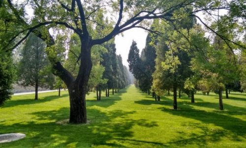 CHINY / Pekin / Pekin / Pekin-park