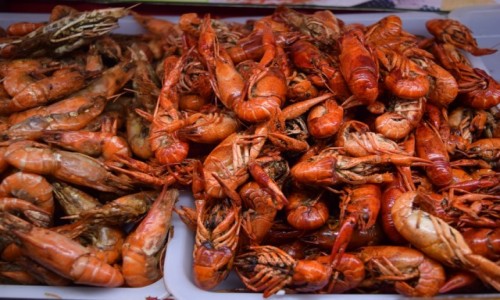 Zdjecie CHINY / Luoyang / Luoyang / Kolacja 
