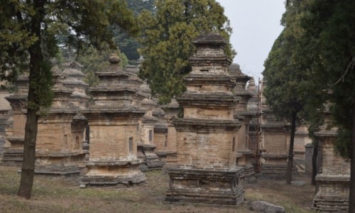 Zdjęcie CHINY / Luoyang / Shaolin-Las Pagodowy / Klasztor Shaolin