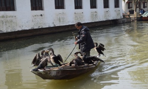 Zdjecie CHINY / Szanghaj / Zhouzhuang / Zhouzhuang -Wodne miasto