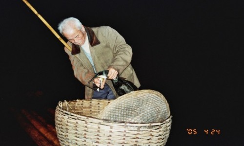 Zdjcie CHINY / prowincja Guangxi / Yangshuo / pow ryb przy uyciu kormoranw