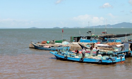 Zdjecie CHINY / - / Ningbo  / Chiski port rybacki