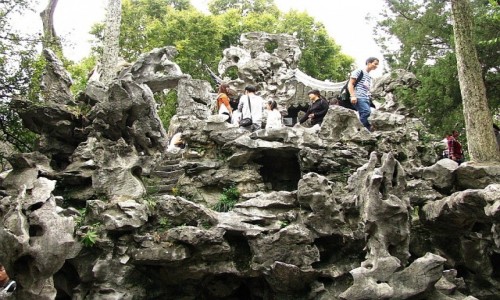 Zdjecie CHINY / prowincja Jiangsu / Suzhou / Ogrd Lwi Zagajnik