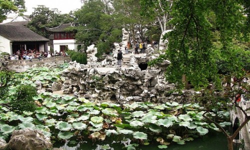 Zdjcie CHINY / prowincja Jiangsu / Suzhou / Ogrd Lwi Zagajnik