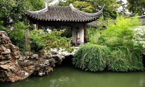 Zdjcie CHINY / prowincja Jiangsu / Suzhou / Ogrd Lwi Zagajnik