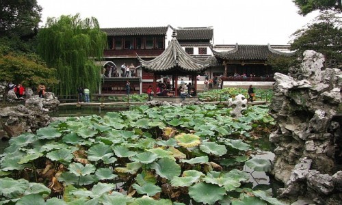 Zdjcie CHINY / prowincja Jiangsu / Suzhou / Ogrd Lwi Zagajnik
