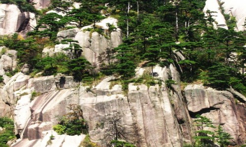 Zdjecie CHINY / prowincja Anhui / Huang Shan / sosny i skay