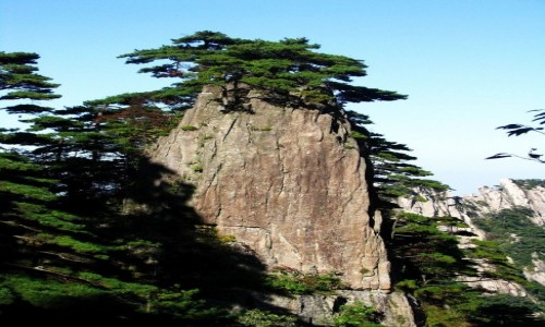 Zdjcie CHINY / prowincja Anhui / Huang Shan / Gry te