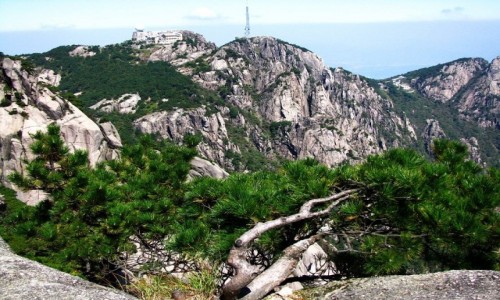 Zdjcie CHINY / prowincja Anhui / Huang Shan / Gry te