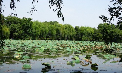 Zdjcie CHINY / prowincja Zhejiang / Hangzhou / Jezioro Zachodnie